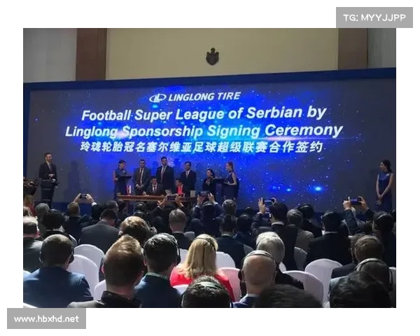 全面深度解析欧协杯决赛竞赛规则与关键观赛要点全指南详解版全册